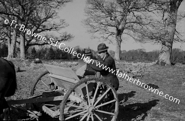 SOWING WINTER WHEAT MACHINE